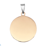 ราคา จี้ห้อยคอสลักชื่อ ป้ายสลักชื่อ ป้ายชื่อแมว ป้ายชื่อสุนัข ปลอกคอ เลเซอร์สลักชื่อ สัตว์เลี้ยง จี้สลักชื่อ ji pets collar (6719918632)