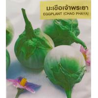 ราคา เมล็ดพันธุ์ มะเขือ มะระ มะเขือเทศ ทุกชนิด เมล็ดผักสวนครัว เมล็ดมะเขือ มะระขี้นก มะระจีน มะเขือเปราะ มะเขือพวง มะเขือยาว (20962571894)