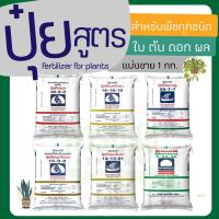 ราคา ปุ๋ยเคมี ปุ๋ยสูตร แบ่งขาย 1 กิโลกรัม 46 0 016 16 1615 15 15 25 7 79 24 2413 13 2115 0 016 20 0 (10062597834)