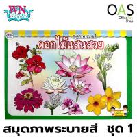 ราคา WN BOOKS Coloring Book สมุดภาพระบายสี วรรณาบุ๊คส์ ดอกไม้แสนสวย (3852298968)
