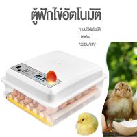 ราคา ส่งด่วนในไทย ตู้ฟักไข่ 16ฟอง ตู้ฟักไข่ถูกๆ เครื่องฟักไข่อัตโนมัติราคาถูก ตู้ฟักไข่ เครื่องฟักไข่ (15034567349)