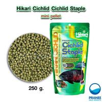 ราคา Hikari Cichlid Staple อาหารปลาหมอสี ชนิดลอยน้ำ สูตรโปรตีนมาตรฐาน 57g 250g (17999148453)