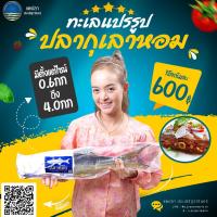 ราคา ปลากุเลาเค็ม ทับสะแก ส ประเสริฐวารินทร์ เค็มน้อยอร่อย เจ้าของเรือขายเอง ราชาปลาเค็ม กุเลาเค็ม (16427444561)