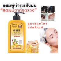 ราคา Ginger Scalp Shampoo แชมพูขิงบำรุงเส้นผมหนังศรีษะ พร้อมส่งในไทย (14457802978)