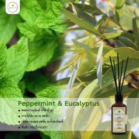 ราคา PLEARN ก้านไม้หอมปรับอากาศ 50ml Aroma Reed Diffuser ก้านไม้แบบfiber ห้องหอมสดชื่น ก้านไม้หอม น้ำหอมปรับอากาศ (7463532020)