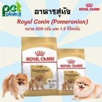 ราคา 1 5kg 500g อาหารสุนัข Royal Canin Pomeranian โรยัลคานินปอมเมอริเนียน โรยัลคานิน สุนัข ปอมเมอเรเนียน อาหารหมา อาหารสัตว์เลี้ยง อาหารสุนัขแบบแห้ง (14986026815)