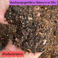 ราคา ดินไม้ด่าง ดินปลูกไม้ด่าง ดินพร้อมปลูก ไม้ฟอกอากาศ ไม้ใบ พลูด่าง โพธิ์ทะเลด่าง ว่านถุงเงินถุงทอง เงินไหลมา ดินปลูกเงินไหลมาด่างขาว (19610495759)