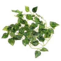 ราคา Laputa 2เมตรใบไม้ประดิษฐ์เถา Scindapsus Aureus กิ่งไม้ปลอมสำหรับธรรมชาติจำลองสัตว์เลื้อยคลาน (16983448786)