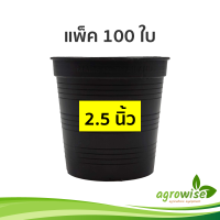 ราคา กระถางต้นไม้พลาสติก กระถางปลูกต้นไม้ กระทางต้นไม้ 500 ชิ้น กระบองเพชร สีดำ 2 5 นิ้ว (17694049779)