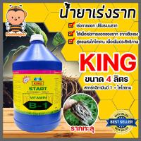ราคา น้ำยาเร่งราก คิงสตาร์ท วิตามิน บี 1 ผสมไคโตซาน ขนาด 4 ลิตร สารกระตุ้นราก น้ำยาบี1 B1 เร่งรากบี1 น้ำยาเพิ่มราก เร่งการเจริญเติบโต สารเร่งราก (20562779019)