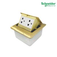 ราคา Schneider ชุดเต้ารับฝังพื้นอะลูมิเนียมทองเหลือง พร้อมกล่องฝัง เต้ารับคู่ 3 ขา ขนาด 3 ช่อง รุ่น S Flexi ชไนเดอร์ l E227F BAS F1426UEST2M l PlugOn (17146535002)