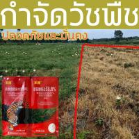 ราคา MM กำจัดวัชพืช กลูโฟซิเนต กลูโฟซิเนต4ลิตร 100g ยาคุมหญ้า กลูโฟซิเนต แอมโมเนียม ยากำจัดวัชพืช สารกำจัดวัชพืช ย่าฆ่าหญ้า ควินคลอแรก (18219593729)