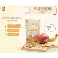 ราคา APPLE MONKEY แครกเกอร์ข้าวหอมมะลิออร์แกนิก ขนมเด็ก ขนมสำหรับเด็กอายุ 8 เดือนขึ้นไป Organic Rice Cracker (20736879579)