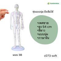 ราคา หุ่นจำลองจุดฝังเข็ม ขนาด 52 54 62cm หุ่นจำลองฝังเข็มได้ งานละเอียดพิเศษ Acupuncture Model By Fangkhem (20813476389)