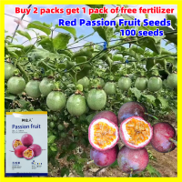 ราคา เมล็ดพันธุ์เสาวรส สีแดง Red Passion Fruit Seeds งอกง่าย 100เมล็ด ซอง คุณภาพดี ราคาถูก ของแท้ 100 เมล็ดพันธุ์ เสาวรส เมล็ดพันธุ์ เสาวรสหวาน ต้นไม้ผลกินได้ ทานได้ เมล็ดบอนสี ต้นบอนสี ต้นไม้มงคล เมล็ดพัน