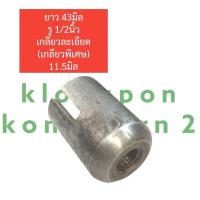 ราคา จำปาหางเรือ หัวผ่า ตัวผู้ ตัวเมีย 4หุน 5หุน จำปาหัวผ่ากกหางเรือ จำปาเรือหางยาว จำปาหางเรือ จำปาหางเรือตัวเมีย จำปาหางเรือตัวผู้ (18246086898)