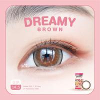 ราคา คอนแทคเลนส์ คิตตี้ คาวาอิ Dreamy Brown (16777576265)