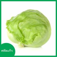 ราคา ผักสลัด 100 300 เมล็ด เมล็ดผักสลัด เมล็ดพันธุ์ผักสลัด ไฮโดรโปนิกส์ homes (6765400943)