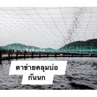 ราคา ตาข่ายกันนกบ่อกุ้ง ตาข่ายบ่อปลา นกกินกุ้ง นกกินปลา 4x100 เมตร (8789476746)