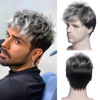 ราคา WU ชุดวิกผมสั้นสีเทาเงินเทาสำหรับผู้ชายวิกผมสีน้ำตาลเข้ม (17581592760)