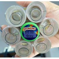 ราคา คอนแทคเลนส์ บิ๊กอาย รุ่น Domino สีเทา ตาล Gray Brown มีค่าสายตา 0 00 7 50 เปลี่ยนแทนทุกเดือน (17969446468)