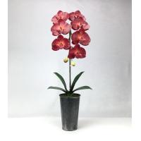 ราคา แจกันกล้วยไม้ประดิษฐ์ ดอกไม้ปลอมพร้อมแจกันสังกะสี (6079508005)