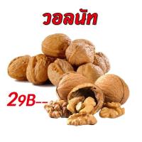 ราคา วอลนัท Walnut สำหรับนกแก้ว หนูแฮมสเตอร์ กระรอก แพรี่ด็อก และสัตว์ฟันแทะ แบ่งขาย 5ลูก 10ลูก 20ลูก (16491101711)