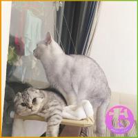 ราคา Thai Dee เปลแมว เปลแมวติดกระจก ขนาดใหญ่ 55x35ซม รับน้ำหนักได้ถึง 15 kg ที่นอนแมว บ้านแมว ของเล่นแมว Cat Windows Bed Siter (11787182508)