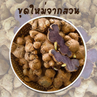 ราคา หัวกระชายดำ กระชายดำสด100 ขุดใหม่จากสวน (20310616865)