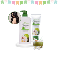 ราคา ชุดแชมพูและครีมนวดผมน้ำมันมะพร้าว มิสทีน เนเชอรัล ฮาวายเอี้ยน ยัง โคโค่นัท Mistine Natural Hawaiian Young Coconut Shampoo and Conditioner Set (154285913)