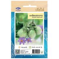 ราคา เมล็ดพันธุ์มะเขือ มะเขือเจ้าพระยา มะเขือไข่เต่าขาว มะเขือเปราะจาว มะเขือยาว มะเขือคางกบรักบี้ มะเขือเปราะคางกบ มะเขือเทศ เจียไต๋ (19954460923)