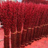 ราคา Silver willow real flowers fresh branches New Years Eve flowers festive red silver willow decoration living room decorations silver willow dried flowers hydroponic plants (20593218774)