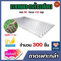 ราคา ส่งฟรี ถาดเพาะกล้านาโยน มี 434 หลุม มีให้เลือก 1 700 ชิ้น ถาดนาโยน เพาะกล้านาโยน ทำนาโยน ถาดปลูกกล้านาโยน ถาดเพาะกล้า ถาดเพาะนาโยน (14342967912)