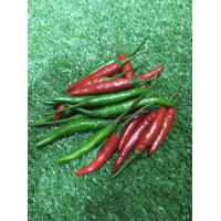 ราคา พริกจินดาเขียว แดง แพคเล็ก (17011063997)