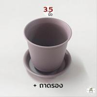 ราคา กระถางแคคตัส กระถางกระบองเพชร กระถางพลาสติก กระถางทรงสูง 2 5 3 5 4 5 นิ้ว (17017160451)