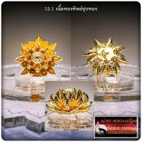 ราคา ดอกพิกุล มงคลทรัพย์ 2 หลวงปู่ยูร วัดหนองป่าหมาก ตำบลห้วยโจด จ สระแก้ว (21201227757)