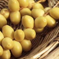 ราคา ต้นอินทผาลัม พันธุ์ sultana ซูลตาน่า ขนาดต้นอวบใหญ่ สูง 40 ซม ขึ้นไป พร้อมลงดินให้ผลใน2ปี (20968707375)