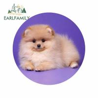 ราคา EARLFAMILY 13ซม X 13ซม สำหรับปอมเมอเรเนียนหมาลูกสุนัขสติ๊กเกอร์กราฟิตี้ปุยซ่อมรอยขีดข่วนรูปลอกกันน้ำ VAN (19381421423)