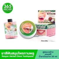 ราคา Rasyan Herbal Clove Toothpaste 25g ยาสีฟันสมุนไพรกานพลู สูตรมะพร้าว 365wecare (17226166947)