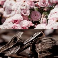 ราคา KARMAKAMET Partir En Voyage Solid Perfume คามาคาเมต ปาแตร์ ออง โวยาจ โซลิด เพอร์ฟูม ขี้ผึ้งหอม น้ำหอม Balm บาล์ม (21257115117)