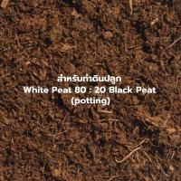 ราคา พีทมอส peatmoss 1ลิตร ซื้อ 5ลิตร เหลือ 60บาท พีทมอสสำหรับทำดินปลูกและเพาะเมล็ด (17254416171)