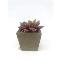 ราคา กุหลาบหินปลอม เฉพาะหัว ไม่รวมกระถาง แคคตัสปลอมจัดสวนถาด (10069386088)