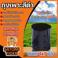 ราคา ถุงเพาะกล้า ขนาด 4x7 ตรานกเงือก 100กรัม ถึง 30 กิโลกรัม ถุงปลูกกล้า ถุงดำเพาะกล้า ถุงดำเพาะปลูก ถุงปลูก ถุงชำต้นไม้ ถุงเพาะต้นไม้ (15429387267)