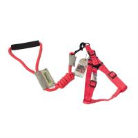 ราคา Touchdog พร้อมส่งจากกทม สายจูงสัตว์เลี้ยง สายจูงน้องหมา ปลอกคอแมว สายจูงแมว สายจูงน้องแมว พร้อมส่ง dog leashes สุนัขขนาดกลางและขนาดเล็ก (20766464504)