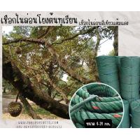 ราคา เชือกโยงกิ่งทุเรียน เชือกไนล่อนสีเขียวแต้มแดง เชือกมัดของ เชือกผูกแพปลา เชือกจูงวัว เชือกผูกควาย เชือกผูกผ้าใบ พร้อมส่ง (18166153495)