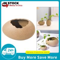 ราคา LazaraSale ไข่สร้างสรรค์ออกแบบดอกไม้แจกันโต๊ะกระถางดอกไม้เซรามิคสำหรับ Succulent แคคตัส (10512918173)