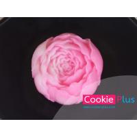 ราคา แม่พิมพ์วุ้นซิลิโคน กุหลาบดอกตูม ดอกมะลิวันแม่ แม่พิมพ์ซิลิโคน พิมพ์วุ้น ฟองดอง กัมเพส ช็อกโกแลต (518594006)