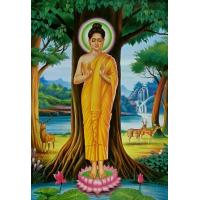 ราคา ภาพพระพุทธเจ้าปางประจำวันเกิดทั้ง7วันและ ปางประสูติ ตรัสรู้ ปรินิพาน และปางประทานพร ภาพเคลือบมันอย่างดีสีสวยสดใสขนาด15X20นิ้ว (15270269516)