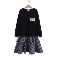 ราคา มีไซส์ใหญ่ Plus Size XL 4XL Womens Long Sleeved Patchwork Midi Dress Female Casual False Two Pieces Vintage Long Dresses (17310025553)