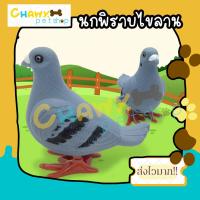 ราคา นกพิราบไขลาน ของเล่นไขลาน นกไขลาน ของเล่นหมา ของเล่นสุนัข ของเล่นแมว ของเล่นเด็กไขลาน (17168031282)